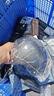 NINEBOTninebot九號電動平衡車minipro2成人兒童男女通用9號雙輪腿控可手扶桿操控體感車2024新款平行車 minipro2平衡車黑色+腳撐【咨詢選購手扶桿】 曬單實拍圖