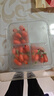 頭茬新鮮現摘鮮果枸杞子寧夏特產(chǎn)中寧大顆粒水果構杞500g紅枸杞 現摘頭茬大果1斤（加贈4冰袋） 曬單實(shí)拍圖