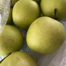 京鮮生 河北青翠蜜梨 凈重4.5斤 單果250g+ 青皇冠梨 生鮮水果 源頭直發(fā) 曬單實(shí)拍圖