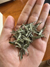 天洲溪白毫銀針福鼎白茶老白茶典藏版茶葉禮盒裝250g中秋節(jié)日送長輩禮物 曬單實拍圖