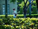 騰龍（Tamron）A071S 28-200mm F/2.8-5.6 Di III RXD 28200全畫幅遠(yuǎn)攝大變焦鏡頭 騰龍28-200微單相機(jī)旅游掛機(jī)頭 索尼E卡口 官方標(biāo)配【12期白條免息+主 曬單實(shí)拍圖