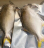環(huán)球水產(chǎn)冷凍南海金鯧魚2斤/2條 生鮮魚類 火鍋 深海魚 海鮮水產(chǎn) 家庭聚餐 曬單實拍圖
