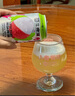 牛啤堂（NBeer）帝都海鹽德式小麥IPA果啤全家福精釀啤酒組合330ml*6聽 全家福A套裝 330mL 6罐 曬單實拍圖