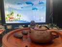 藏壺天下 宜興紫砂壺純手工刻繪小容量茶壺底槽清蝦趣景舟石瓢 景舟石瓢 曬單實(shí)拍圖