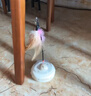華元寵具（hoopet）貓玩具電動逗貓棒智能貓轉(zhuǎn)盤神器自嗨解悶貓咪寵物狗狗全自動用品 曬單實(shí)拍圖