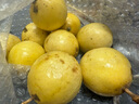 果悠喜廣西欽蜜9號(hào)黃金百香果 新鮮白香果水果 酸甜風(fēng)味新鮮水果 凈重2斤 特大果(單果70-90g) 曬單實(shí)拍圖