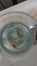 觀賞魚(yú)草金魚(yú)苗養(yǎng)不死金魚(yú)小活魚(yú)小寵物好養(yǎng)耐活養(yǎng)不死的金魚(yú)包活 紅紅火火-3到5cm草金2條 年年有余 財(cái)運(yùn)亨通】隨機(jī)送魚(yú)食 曬單實(shí)拍圖