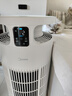 美的（Midea）家用寵物空氣凈化器 吸貓毛除過敏源貓貓搭子貓毛凈化器殺菌消毒除貓狗異味小怪獸PET500 曬單實拍圖