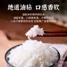太糧靚蝦王香軟米20斤 油粘米秈米10kg 長(zhǎng)粒貓牙米 當(dāng)季新米 京東自營(yíng) 曬單實(shí)拍圖