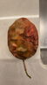 京鮮生 廣西紫皮百香果 1斤裝 約6-8粒 單果約70g 酸甜風味 生鮮水果 曬單實拍圖