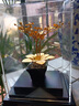 新中式金箔蘭花擺件家居玄關(guān)桌面裝飾結婚禮物開(kāi)業(yè)喬遷禮品 蝴蝶蘭 曬單實(shí)拍圖
