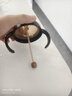 世喜奶嘴配件 重力球硅膠吸管14cm（搭配原裝世喜奶瓶/學(xué)飲杯使用） 曬單實拍圖