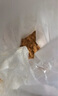京嚴【德國品質】打粉機超細研磨機家用中藥粉碎機小型五谷雜糧磨粉機 頂配款【600ml大容量+316不銹鋼】研磨器 行業(yè)頂配丨12葉精鋼刀頭 曬單實拍圖