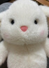 名創(chuàng  )優(yōu)品（MINISO）塔妮兔乖乖坐姿公仔毛絨玩具玩偶抱枕娃娃送女友告白生日禮物女 曬單實(shí)拍圖