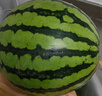 【產(chǎn)地直采】麒麟奶油西瓜 約4.5kg 曬單實拍圖