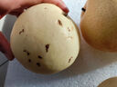 遠達（YUANDA）河北皇冠梨趙縣特產(chǎn)新鮮水果冰糖雪梨當(dāng)季水果梨子整箱白梨脆甜 古樹皇冠梨凈重4.5單果230g+ 曬單實拍圖
