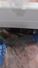 肉大廚烏拉圭安格斯谷飼原切牛肋排2斤 生鮮牛肉 質(zhì)地鮮嫩 肉味醇厚 曬單實(shí)拍圖