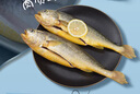 鮮京采 冷凍三去黃花魚(yú)(寧德大黃魚(yú))1700g (5條裝)  禮盒  生鮮 海魚(yú) 曬單實(shí)拍圖