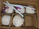 佳沃泰國進口椰青香水椰子 6個裝 中果800g+ 新鮮水果 源頭直發(fā) 曬單實拍圖