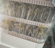 摩動(dòng)豆芽機(jī)全自動(dòng)家用多功能發(fā)黃綠豆芽神器水循壞灑水微電腦智能定時(shí)發(fā)豆芽機(jī)器MD-DY01 曬單實(shí)拍圖