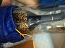 郎酒青花郎 白酒 醬酒 53度 500ml*1 單瓶裝 商務(wù)宴請 高端禮贈 曬單實(shí)拍圖