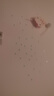 夜光 深藍星星黃色月亮套裝墻貼 塑料星星熒光貼兒童房貼紙夜光貼紙裝飾品星星墻壁夜間發(fā)光貼紙熒光貼畫(huà) 星星+月亮【103貼】 曬單實(shí)拍圖