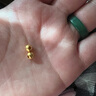喜上眉梢足金999轉(zhuǎn)運(yùn)珠3D硬金拋光面珠磨砂路路通DIY配飾散珠送禮女 4mm古法【約1g】多顆重版 曬單實(shí)拍圖