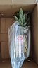 佳農(nóng) 菲律賓進(jìn)口菠蘿 2個(gè)裝 鳳梨 單果凈重2斤 新鮮水果 源頭直發(fā)   曬單實(shí)拍圖
