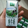 伊利金典純牛奶整箱 250ml*16盒 3.6g乳蛋白 禮盒裝 曬單實拍圖