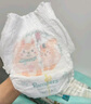 幫寶適【夏天散熱王者】一級幫嬰兒拉拉褲夏季超薄透氣L33 尿不濕尿褲 曬單實拍圖