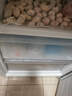 美的（Midea）三門251家用電冰箱小戶型三開門風(fēng)冷無霜變頻一級能效節(jié)能宿舍租房多門MR-251WTPE【國家補貼】 曬單實拍圖