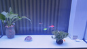 森森（SUNSUN）新款超白魚缸客廳玻璃大型水族箱智能觸控家用免換水底濾缸 超白0.8米35寬 無(wú)極變光+新式底濾 納米灰 曬單實(shí)拍圖