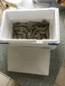 鮮享純【青島蝦】超大蝦新鮮大蝦冷凍鮮活青島大蝦批發(fā)整箱基圍蝦青蝦 15-17厘米鮮蝦速凍 3斤(凈重) 曬單實(shí)拍圖