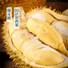 【保4房肉】A級進(jìn)口金枕鮮榴蓮1粒2-2.5kg(M) 曬單實(shí)拍圖