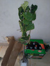 嫁接板栗樹(shù)苗南方北方種植果樹(shù)早熟晚熟板栗當年結果特大板栗樹(shù)苗 農大一號\當年結果苗 81cm(含)-110cm(含) 曬單實(shí)拍圖