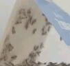 科凌蟲控飛蛾陷阱誘捕器蛾蚋蛾蠓米面蛾子殺蟲劑噴霧藥粘蟲板廚房 飛蛾陷阱【12片裝】 曬單實(shí)拍圖