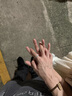 范琦（Fanci）光年之境發(fā)光戒指情侶對(duì)戒一對(duì)銀夜光七夕情人節(jié)禮物送男女友 足銀款對(duì)戒-次日達(dá) 曬單實(shí)拍圖