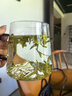 信盛堂胖東來品質(zhì)龍井新茶2025頭采明前43號特級濃香型茶葉正宗禮盒自喝 250.1g 半斤禮盒裝+禮袋 2025新茶大佛龍井 曬單實(shí)拍圖