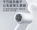 飛科（FLYCO）博銳電吹風(fēng)機(jī)家用大功率便攜負(fù)離子吹風(fēng)筒1800W大風(fēng)力柔風(fēng)恒溫護(hù)發(fā)速干冷熱風(fēng) PH1629 曬單實(shí)拍圖