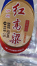 瀘州老窖紅高粱桶裝 濃香型白酒 52度 2.5L 1桶 曬單實拍圖