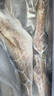 海思芙阿拉斯加狹鱈魚凈重3斤 5-7條 海捕明太魚 進(jìn)口冷凍海鮮生鮮魚類 曬單實(shí)拍圖