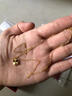 中國黃金（CHINA GOLD）18K黃金四葉草吊墜女款百搭K金項鏈情人節實(shí)用生日禮物送女友老婆 今/次日達*18K金四葉草吊墜【贈純銀鏈】 約0.15g【多退少補，以實(shí)際到手為準】 曬單實(shí)拍圖