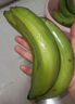 精品云南香蕉高山香蕉現(xiàn)摘新鮮水果甜生青香蕉banana自然熟綠皮 精品高山蕉 9斤 曬單實拍圖
