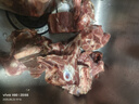 內(nèi)蒙古多肉羊蝎子原切羊肉錫林郭勒乳羔羊清真羊脊骨火鍋食材 多肉羊脊骨3斤 曬單實拍圖