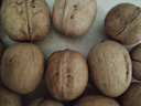 新邊界（new boundaries）薄皮核桃1500g 新疆特產(chǎn)阿克蘇核桃堅果炒貨手剝原味量販 曬單實(shí)拍圖