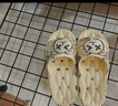安尚芬開(kāi)學(xué)季涼拖鞋男士新款學(xué)生宿舍夏季外穿室內家居防滑防臭拖鞋男 主圖色 42-43 【適合41-42】 曬單實(shí)拍圖