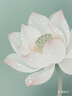 飛科（FLYCO）負(fù)離子電吹風(fēng)機(jī)家用便攜出游速干冷熱風(fēng)大功率吹風(fēng)筒FH6276 曬單實(shí)拍圖