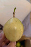 趣嘗鮮欽蜜9號黃金百香果 16粒 單果60-70g 嘗鮮裝 源頭直發(fā) 曬單實(shí)拍圖