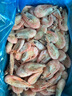 美加佳加拿大海藻頭熟凍北極甜蝦凈重3斤 規格90/120 黑頭蝦 源頭直發(fā) 曬單實(shí)拍圖