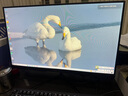 航向者英特爾i5酷睿i7升54核芯/RTX4060 8G/3060臺式電腦主機DIY組裝電腦全套整機商務(wù)辦公電競直播游戲 電腦主機+顯示器 四：i9級30芯/8G獨顯/512G/暢玩大型網(wǎng)游 曬單實拍圖